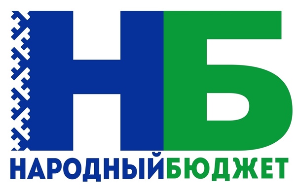 Народный бюджет-2025.