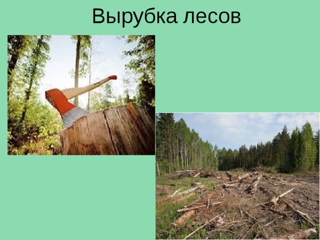 О внесении изменений в Закон Республики Коми  &quot;О регулировании лесных отношений на территории  Республики Коми.